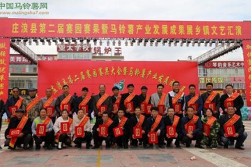 青海東山鄉(xiāng)馬鈴薯交售進(jìn)行中 ()