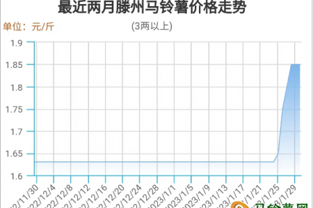 2022年12月馬鈴薯出口數據分析 ()