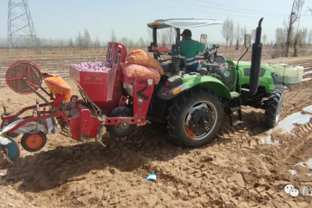 2023年4月馬鈴薯出口數據分析 ()