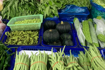 5月份全國“菜籃子”價格環比下降 ()