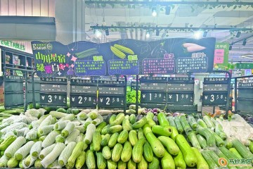 南寧：蔬菜價格持續回落 ()