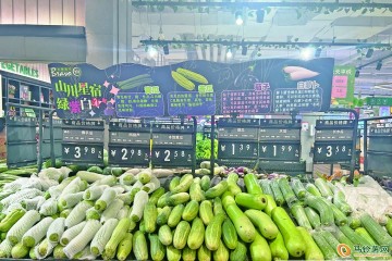 南寧：時蔬搶“鮮”上市 價格優 ()