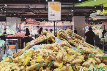 邯鄲：生姜價格走高 ()