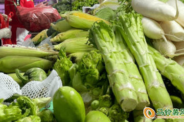 蕪湖市：蔬菜價格下降 ()