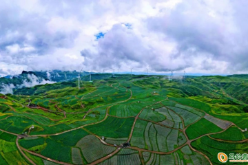 沈陽：節前蔬菜價格小幅上行 ()