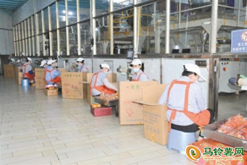 云南陸良：馬鈴薯制種成支柱產業 ()