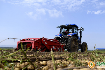 河北圍場：高科技助力馬鈴薯產業發展 ()