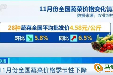11月全國蔬菜價格季節性下降 ()