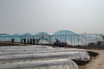 重慶大足區(qū)：春耕農(nóng)忙時(shí) 喜迎蔬菜節(jié) ()