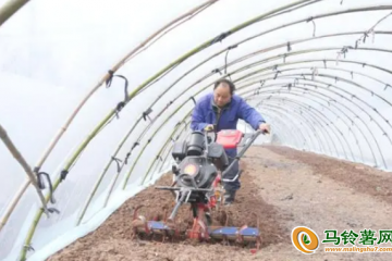 湖南懷化：搶抓農(nóng)時(shí)不負(fù)春 ()