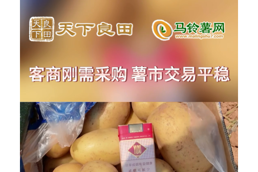 2024年4月12日滕州產區市場行情 ()