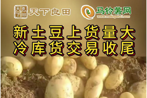 2024年4月18日山東滕州產區價格行情！ ()