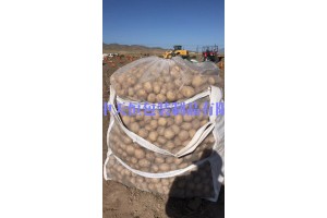 種薯噸袋土豆種植發芽用噸包袋透氣通風防腐爛