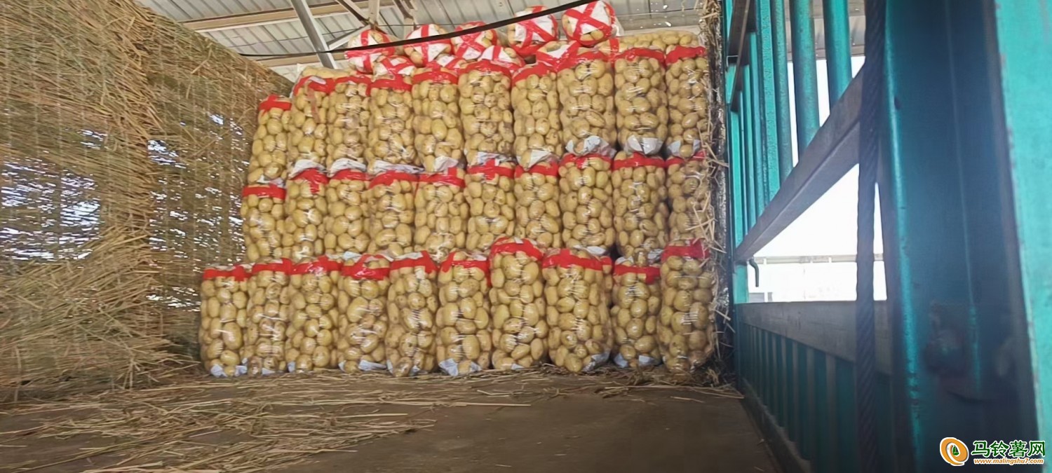 昌黎冷棚土豆陸續(xù)上市中 ()