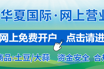 從數據透視蒜片市場：出口熱與風險并存的2025 ()